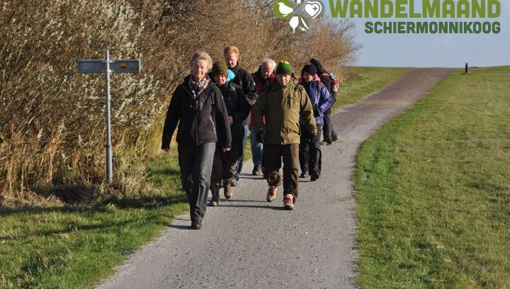 November Wandelmaand arrangement