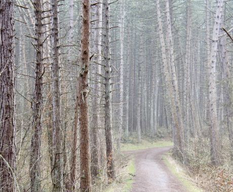 Derde prijs: Anne van der Vaart - 2 tickets voor een natuur- of cultuurexcursie tijdens November Wandelmaand 2024