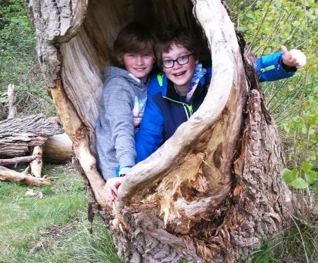 Spelen in het bos