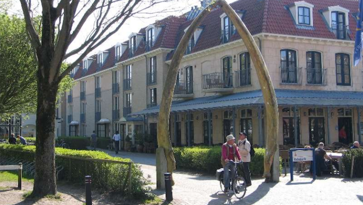 Walviskaak op Schiermonnikoog