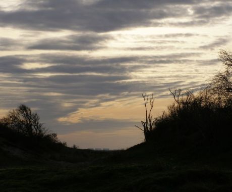 Wianne Weurding - Zicht vanaf Kobbeduinen