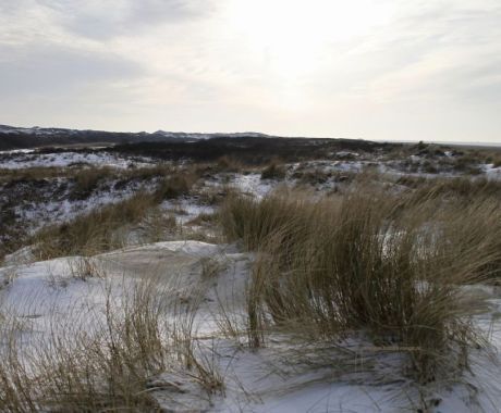 Op zoek naar strandpaal 5