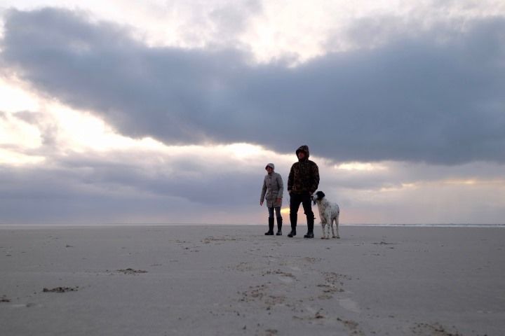 Huisje huren met hond