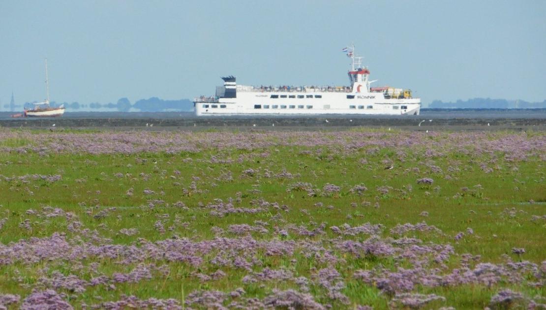 veerboot op het Wad