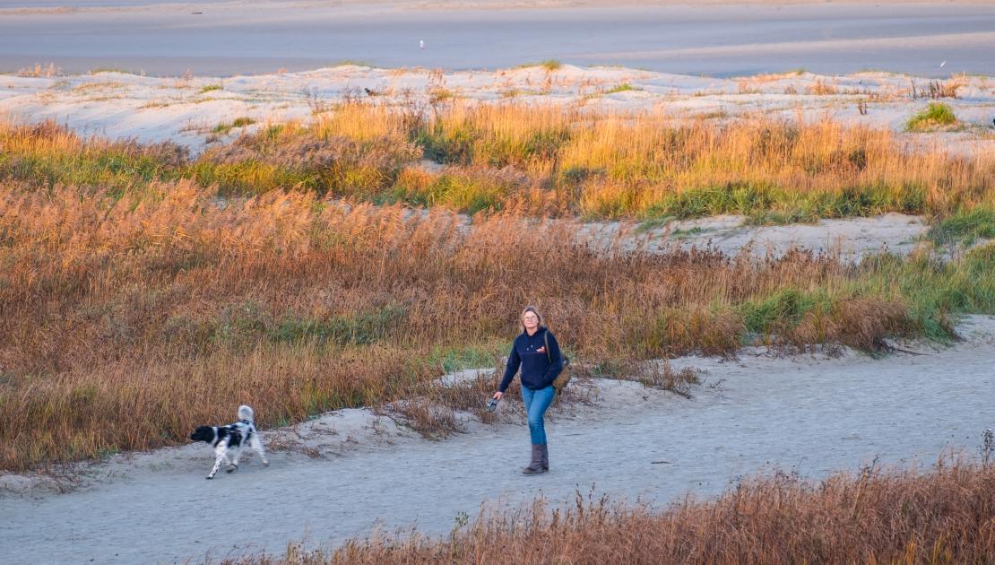 Wandelen met de hond op Schiermonnikoog