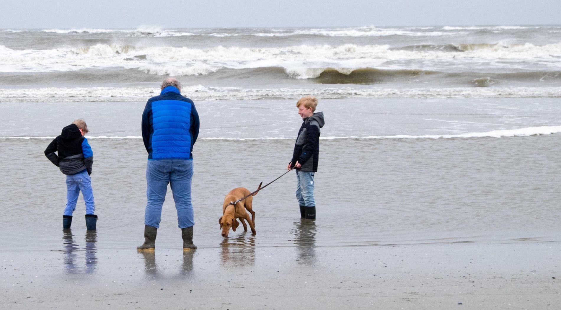 Op vakantie met hond naar Schier