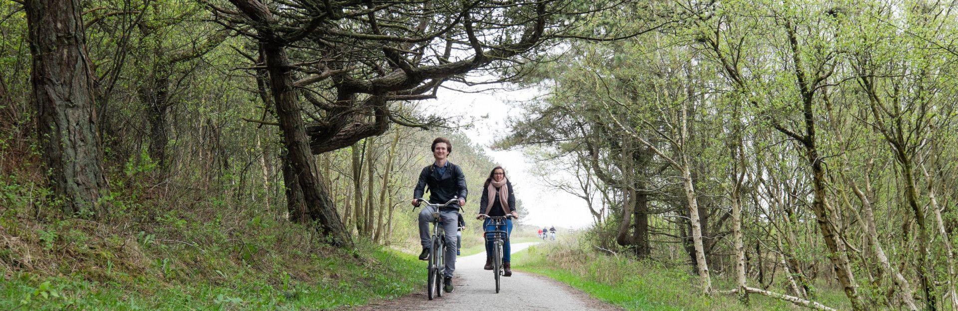 het bos op Schiermonnikoog