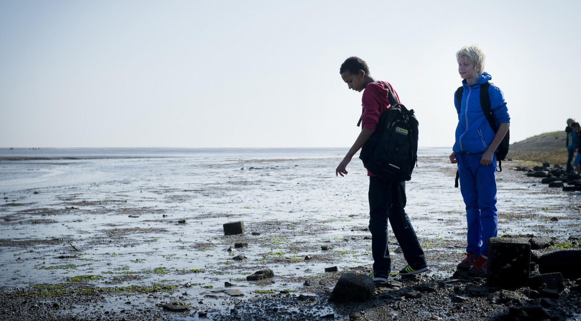 Waddengebied bij Schier