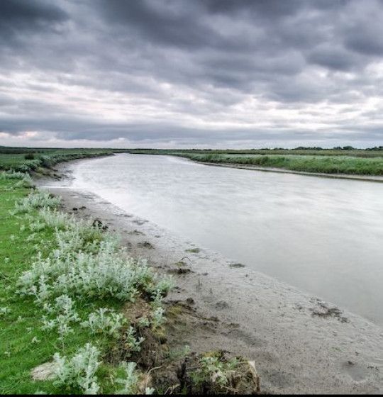 Kwelder op Schiermonnikoog