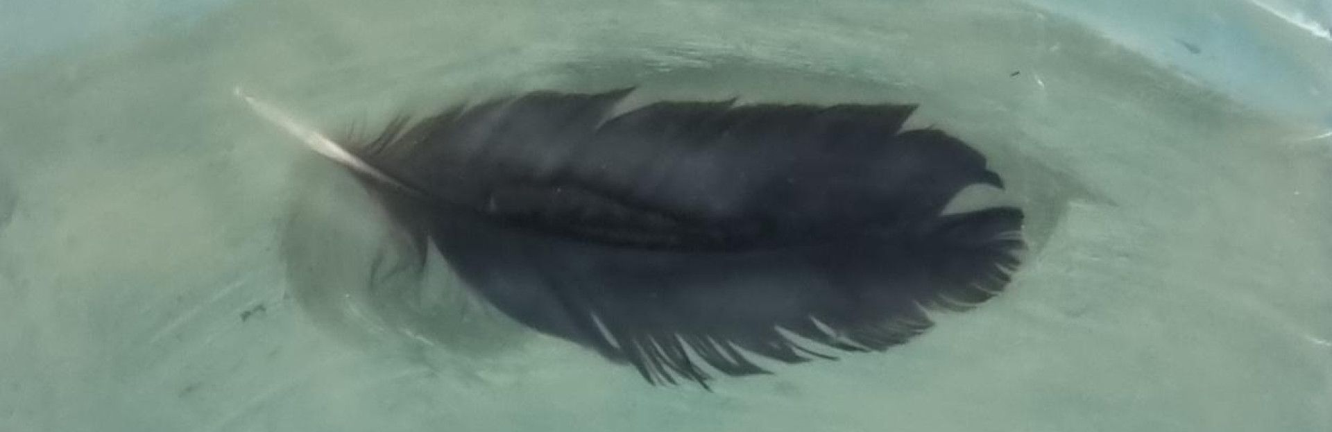 Theo Onnes aan het schilderen op het strand van Schiermonnikoog