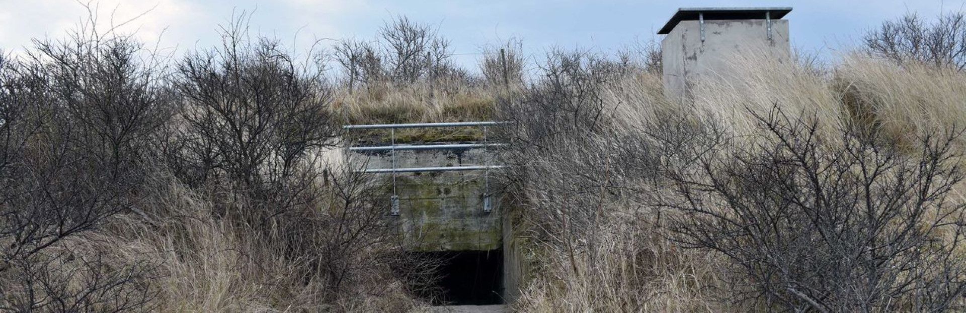 Wandeltocht bunkers van Schiermonnikoog
