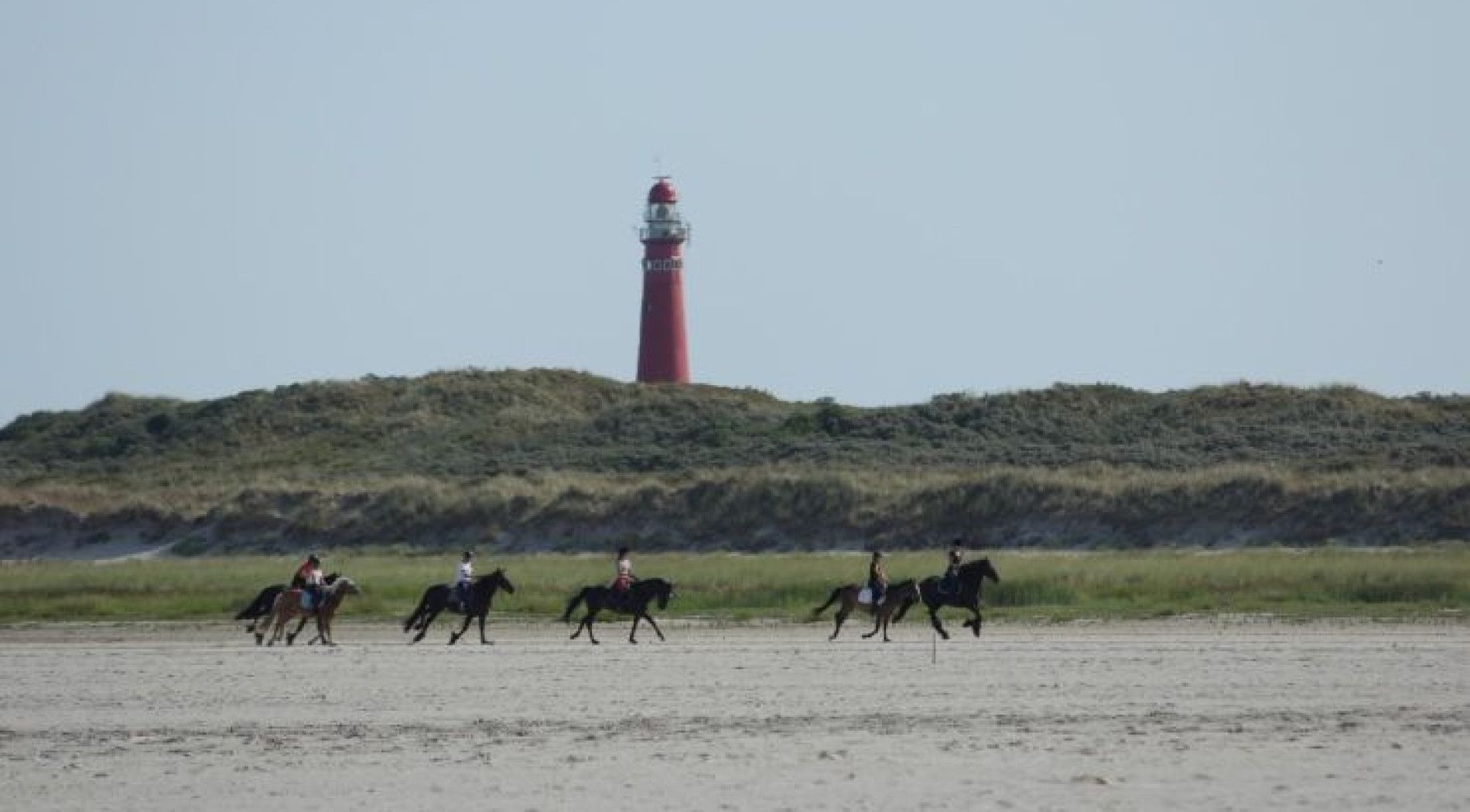 Paardrijden op Schiermonnikoog