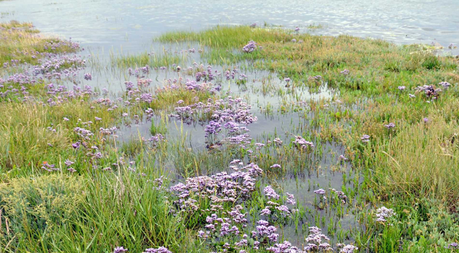 Stuifzand op Schiermonnikoog