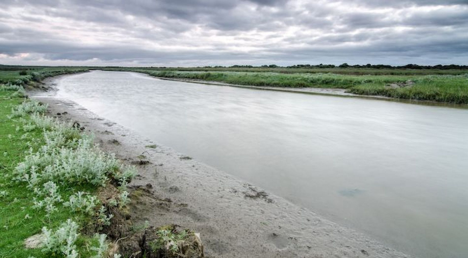 Kwelders op Schiermonnikoog