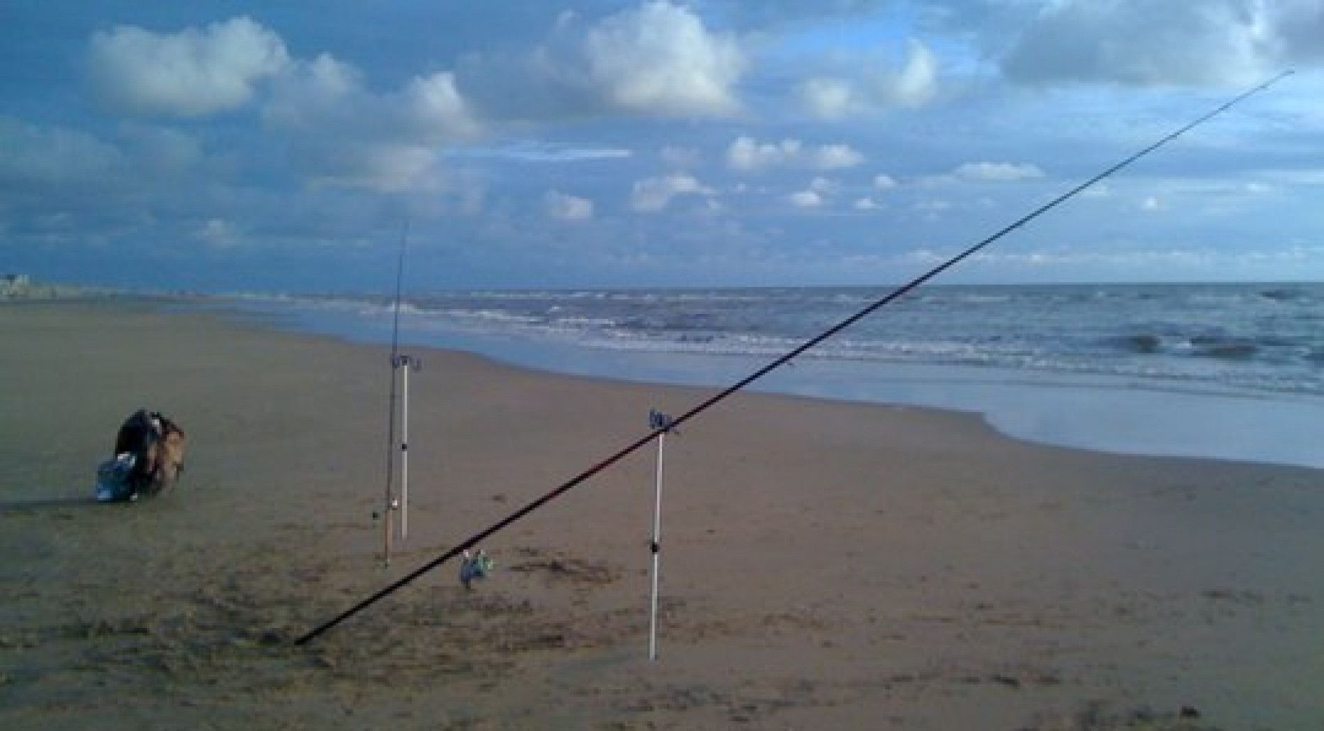 strandvissen op Schiermonnikoog