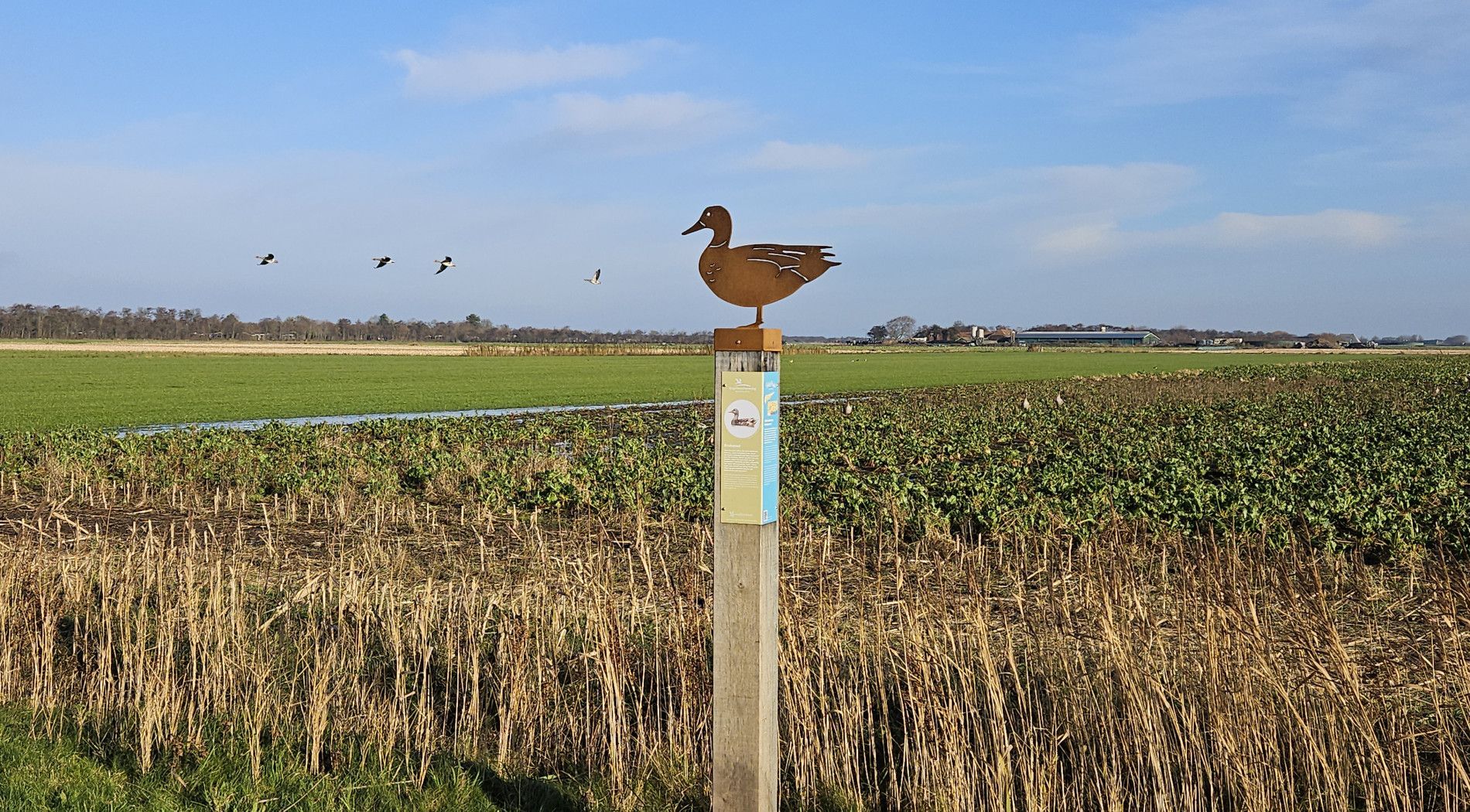 fietsen bij de dijk van Schiermonnikoog