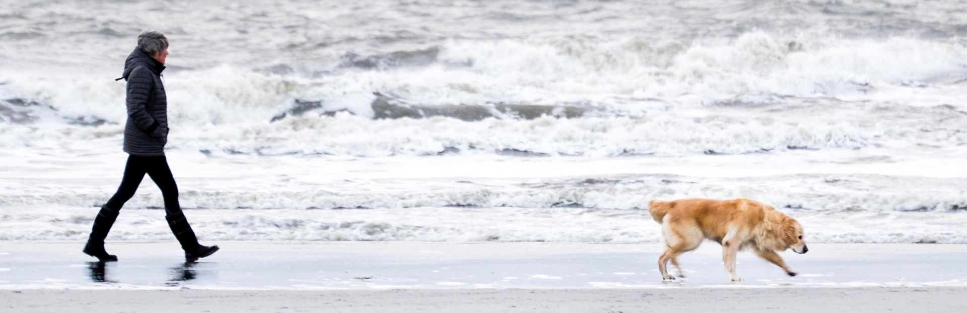 Op vakantie naar Schiermonnikoog met hond