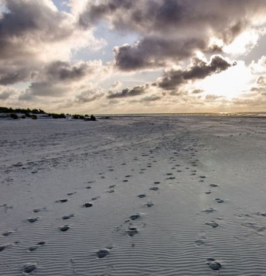 Strand Schiermonnikoog