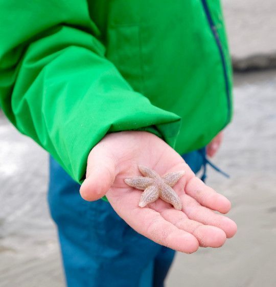 Wadexcursie op Schiermonnikoog