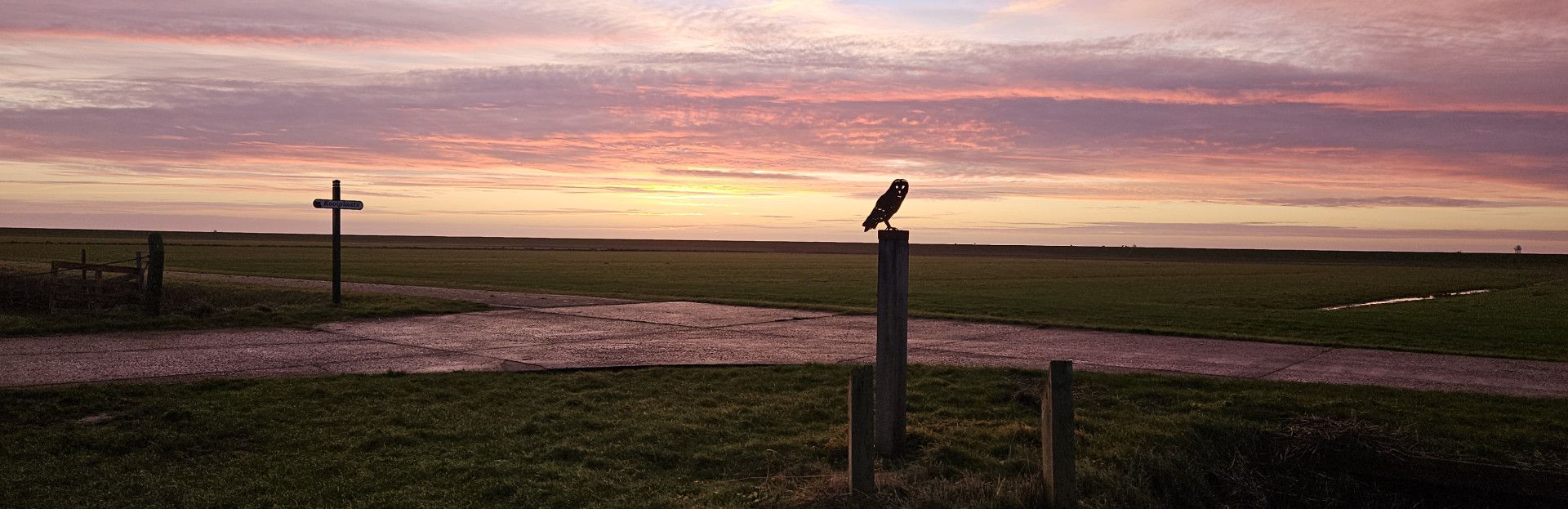 Vogels spotten op Schiermonnikoog