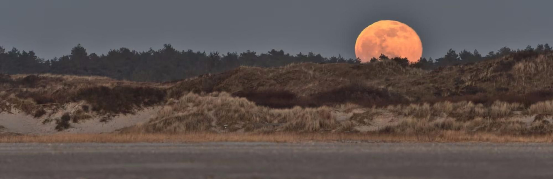 Natuurwandeling in het avondlicht van Schiermonnikoog
