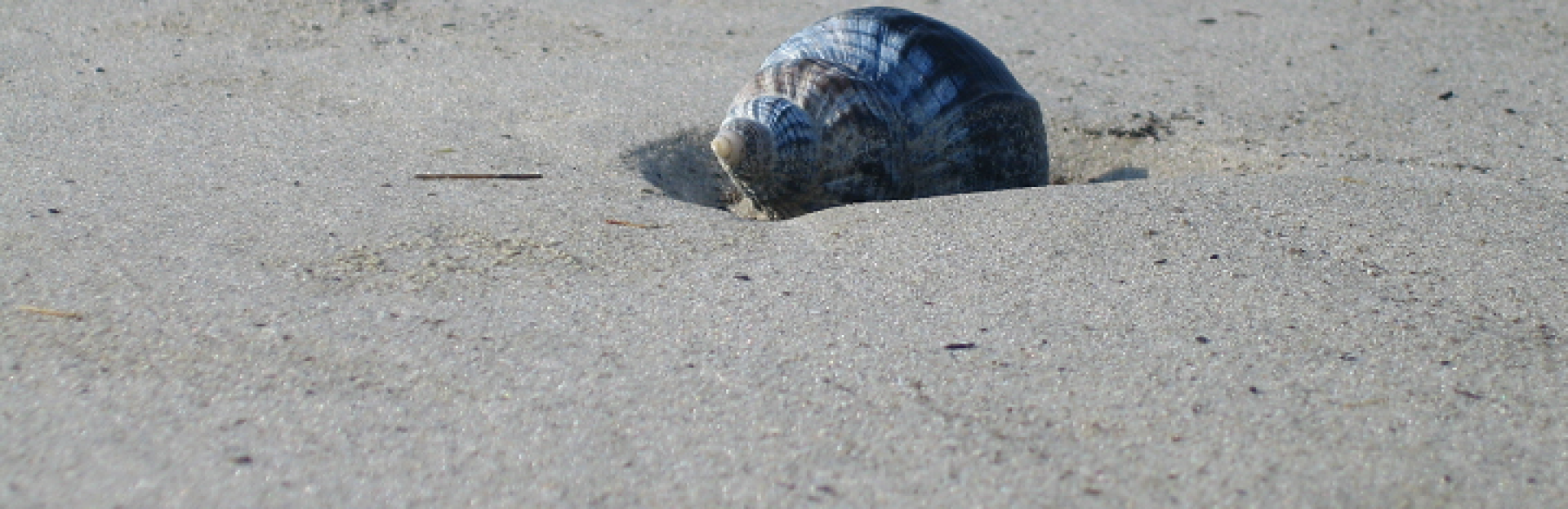 Tandarts Schiermonnikoog