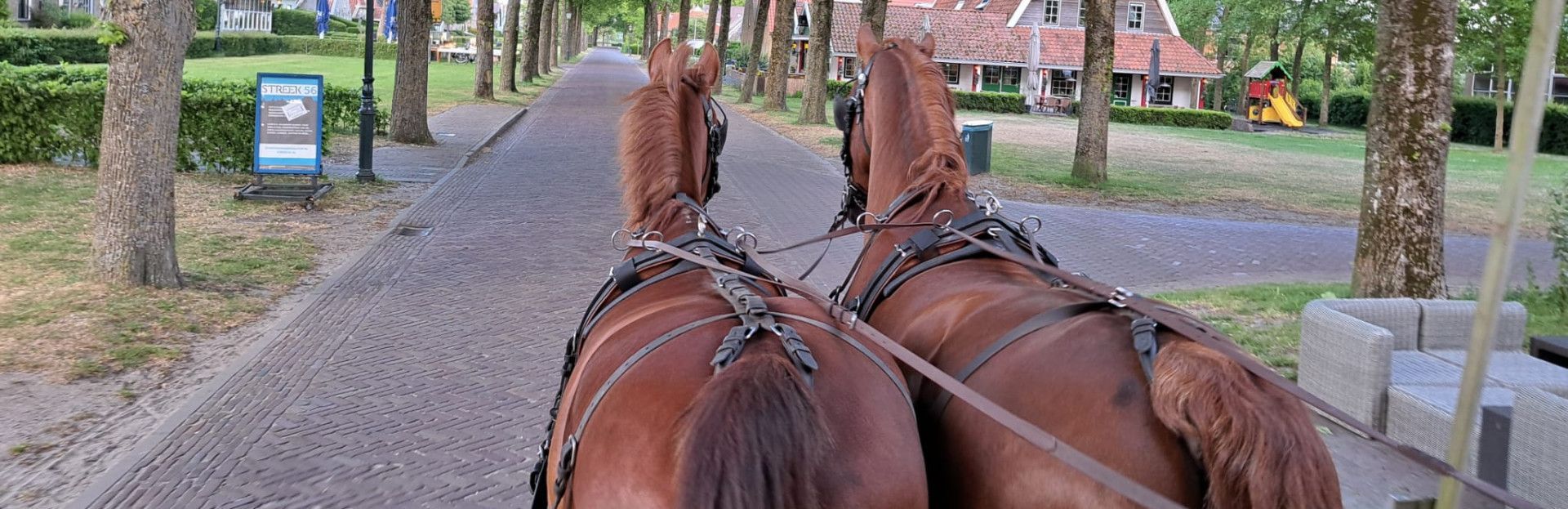rondrit door het dorp met de huifkar op Schiermonnikoog