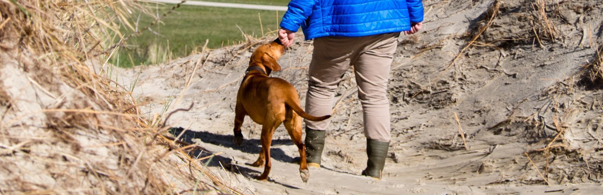 Wandelen met hond