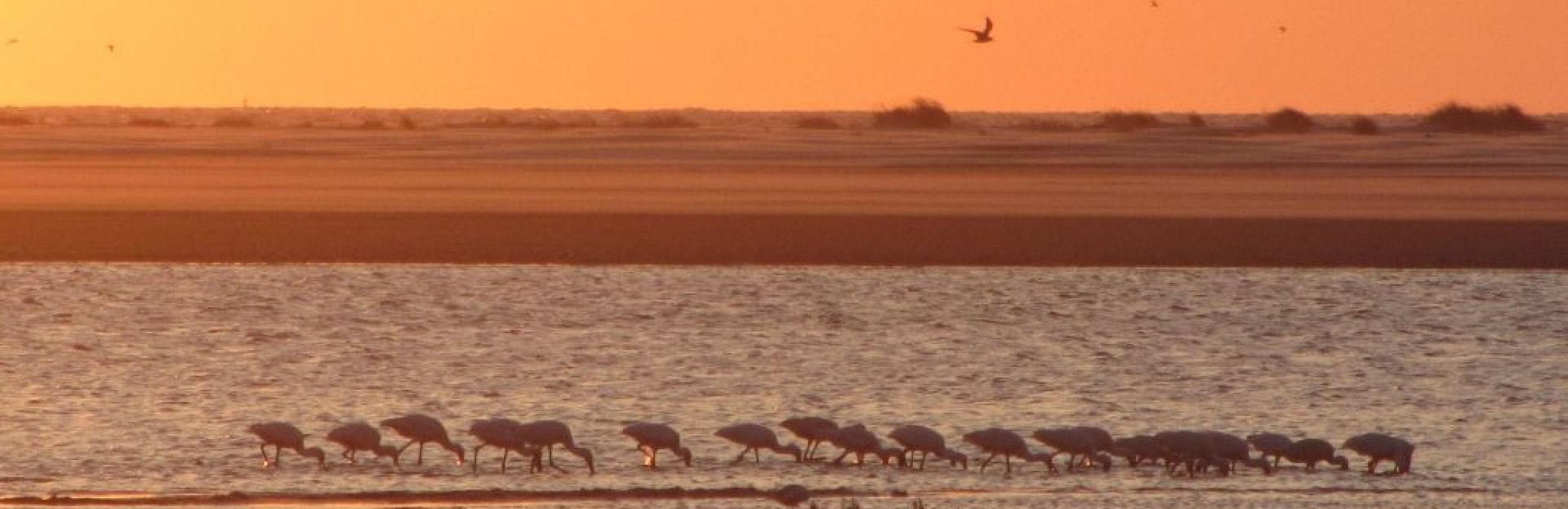 fotowedstrijd op Schiermonnikoog