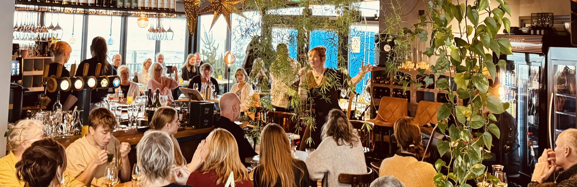 Jellyfish op Schiermonnikoog