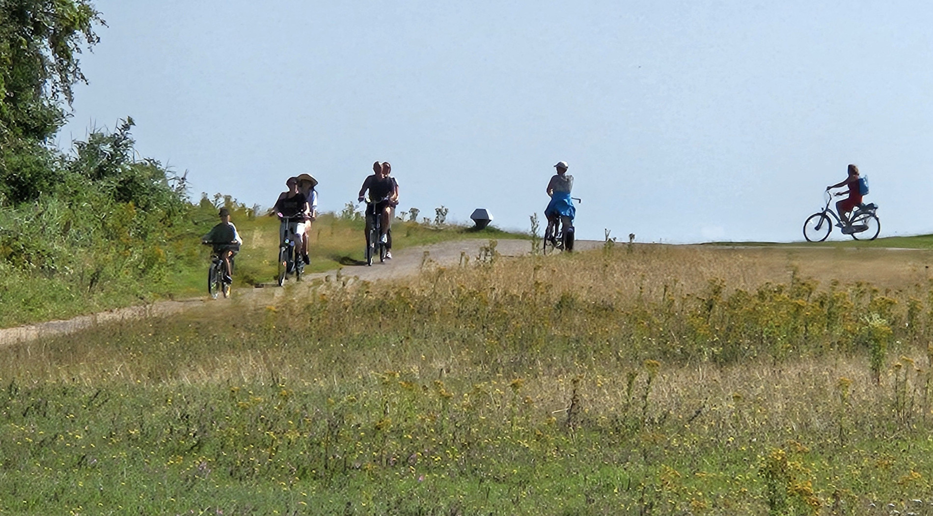fietsen bij de dijk van Schiermonnikoog