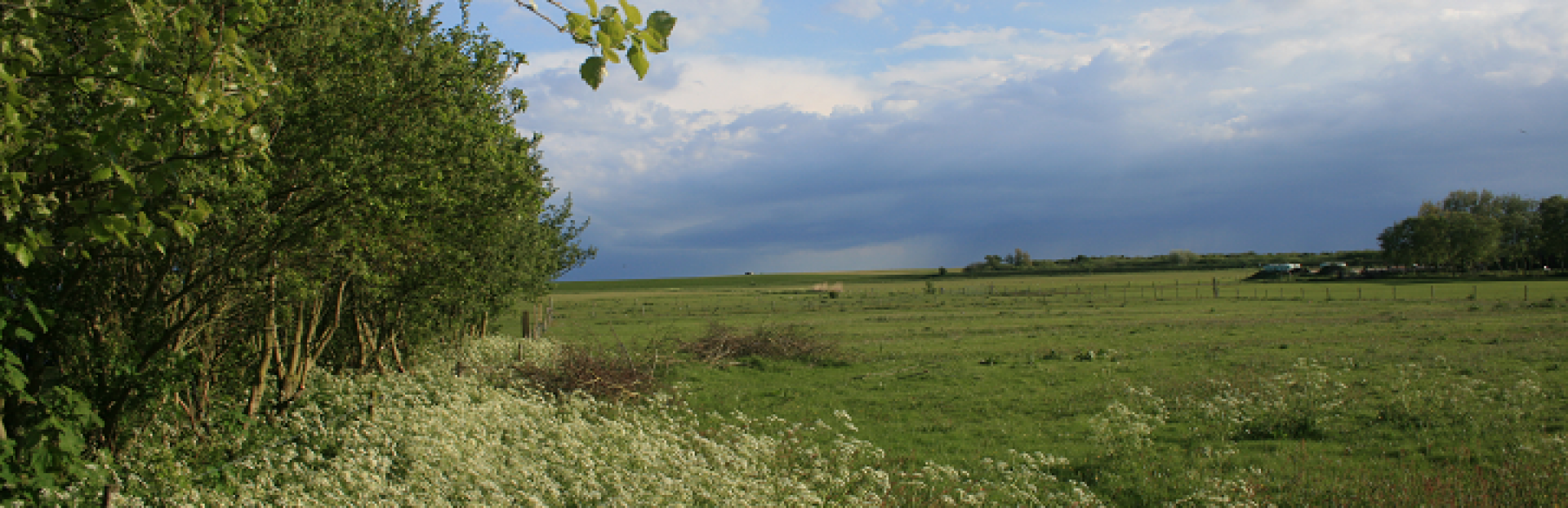 Polder op Schiermonnikoog