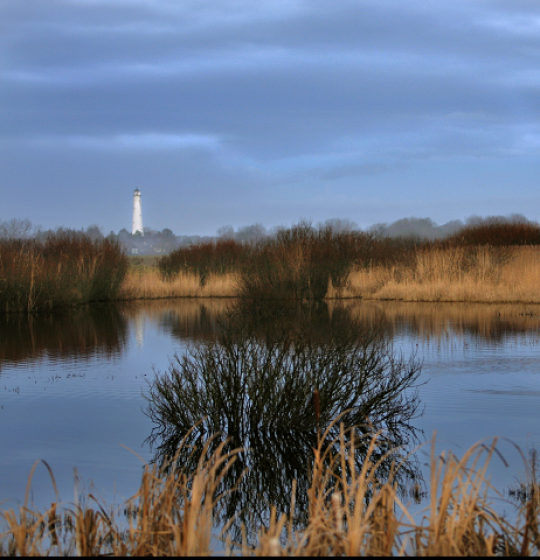 Westerplas op Schier