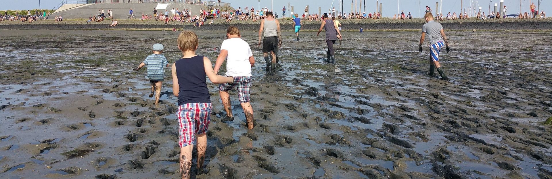 koop online tickets voor je natuurexcursie op Schiermonnikoog