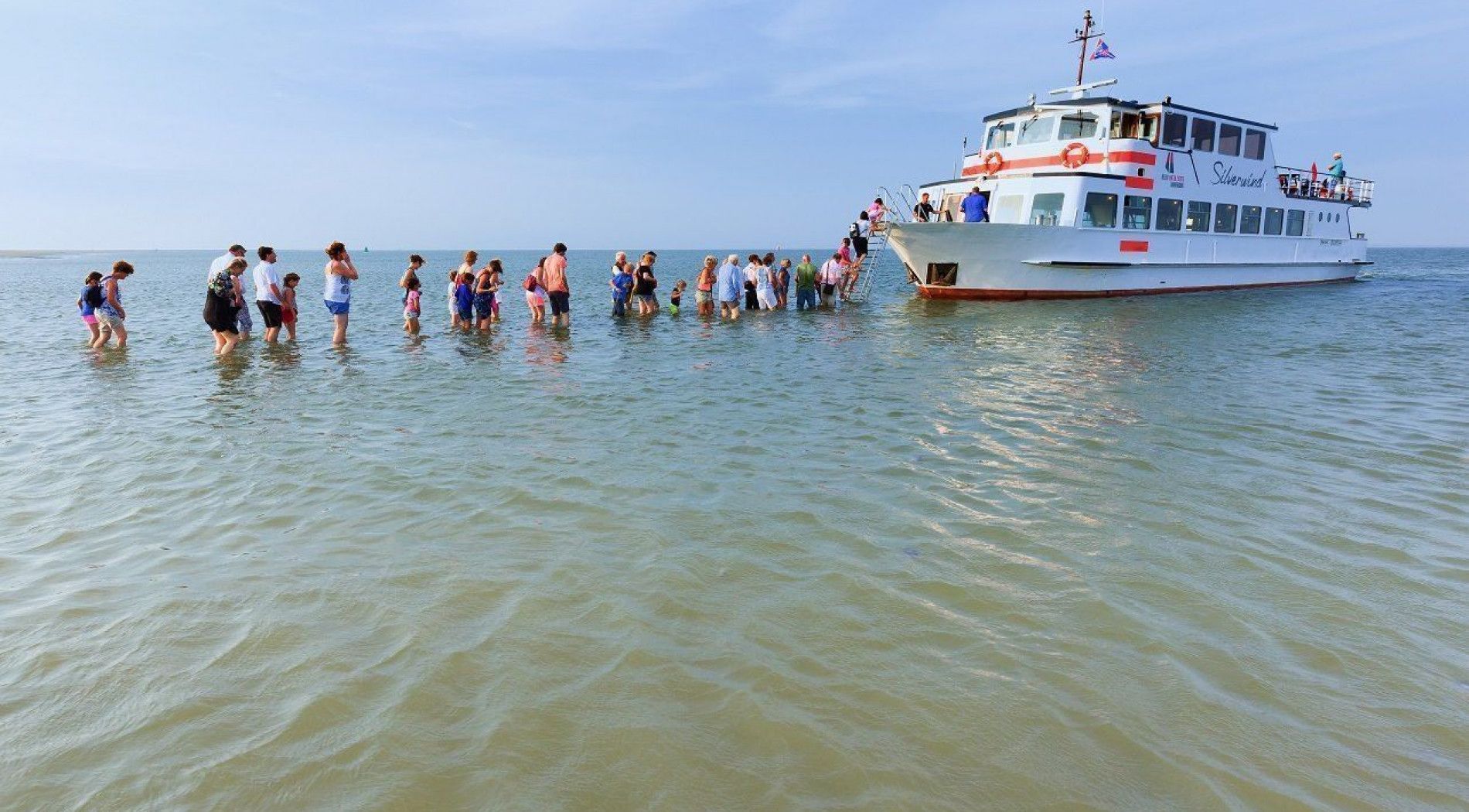 Zeehondentocht met zandplaatlanding