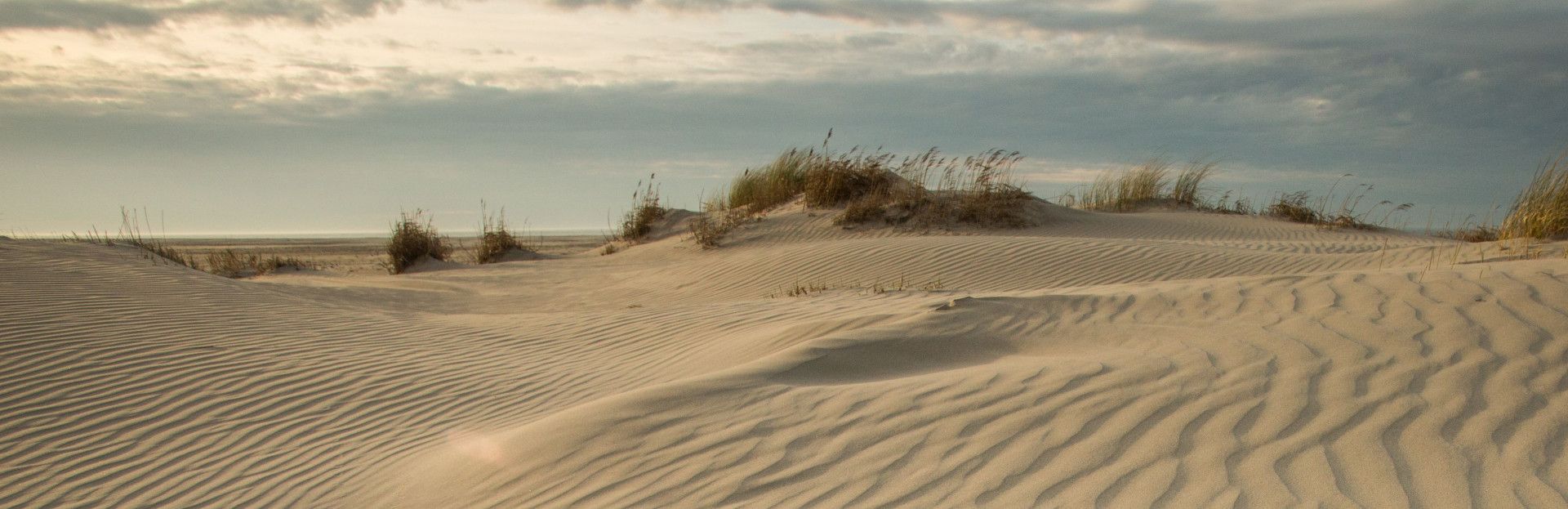 schoonste strand Schiermonnikoog