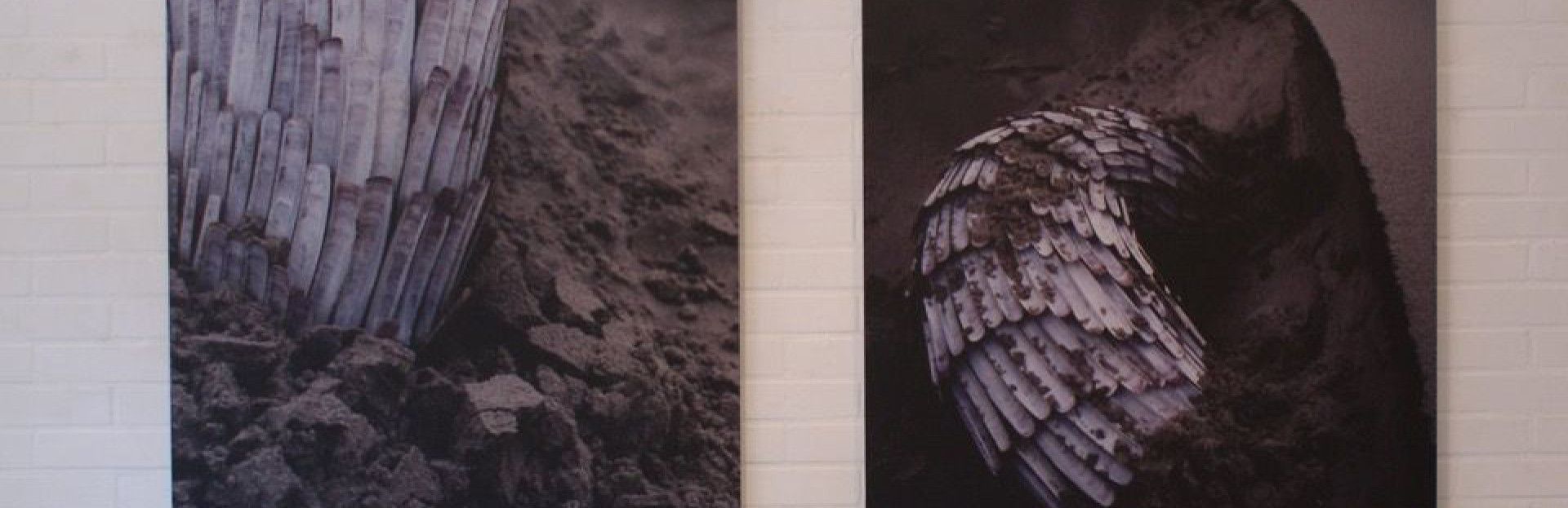 Atelier Kunstfaam