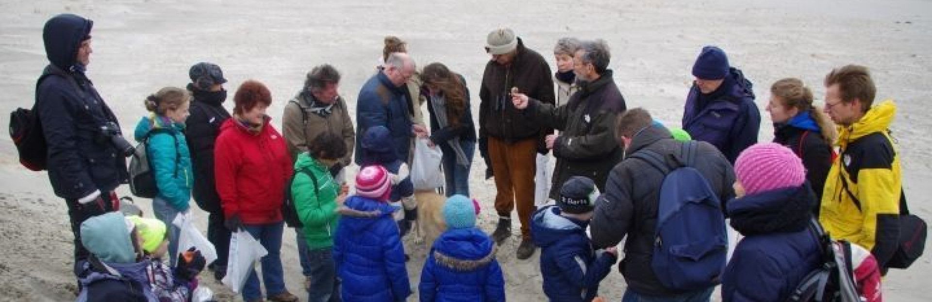 zeester op Schiermonnikoog