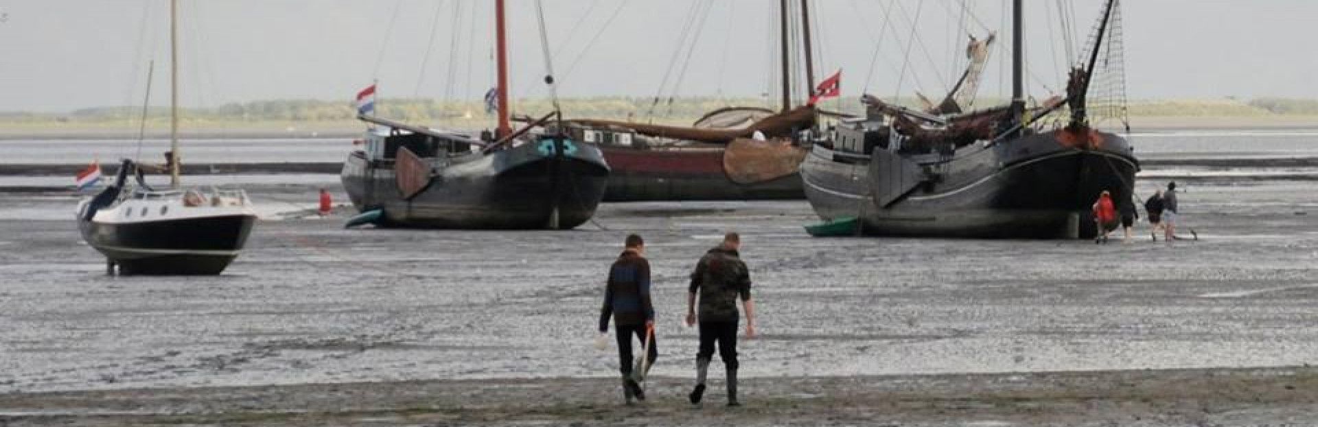 de Waddenzee