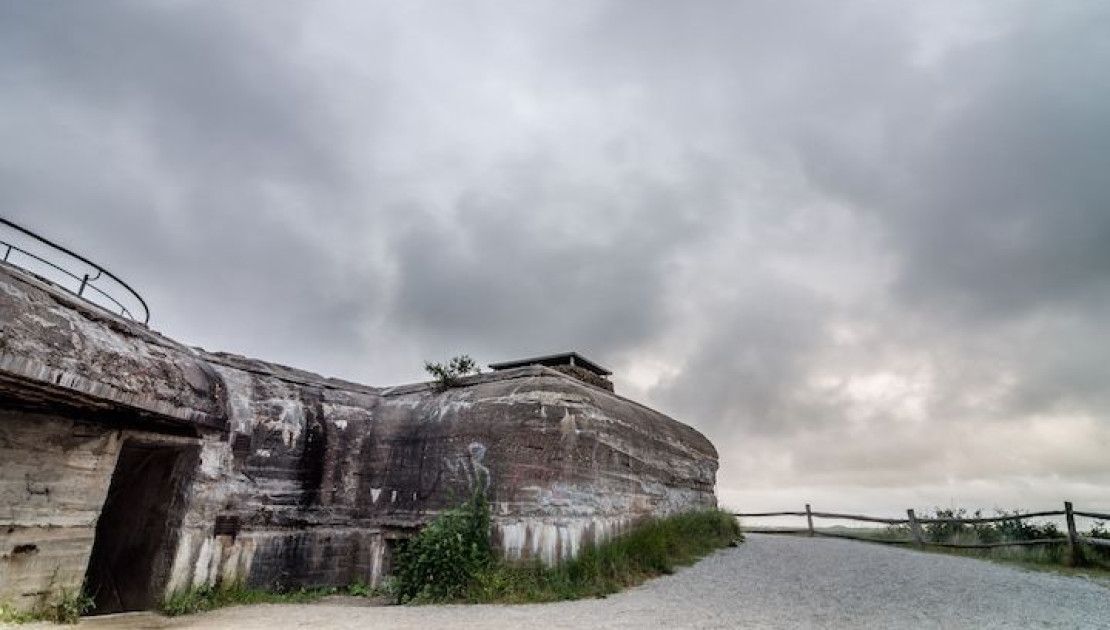 Wassermann op Schiermonnikoog