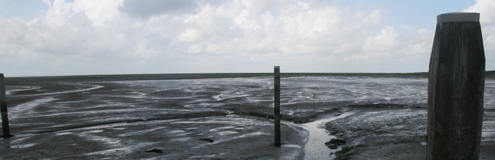 Het Wad bij Schiermonnikoog