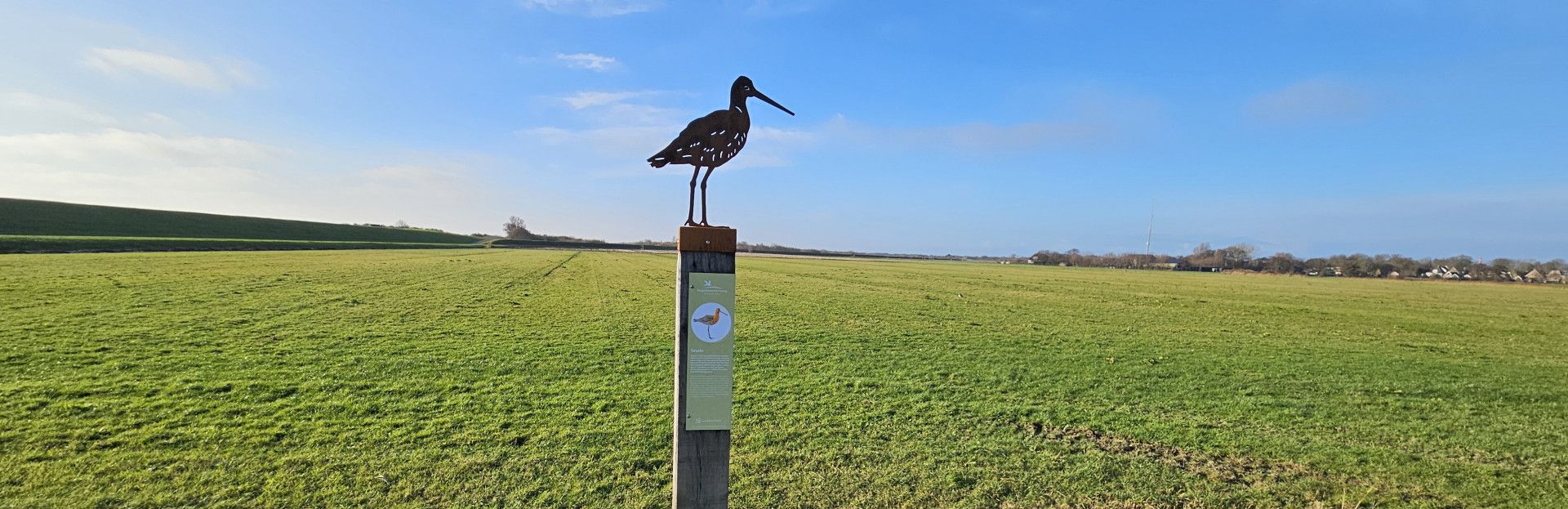 Vogels spotten op Schiermonnikoog