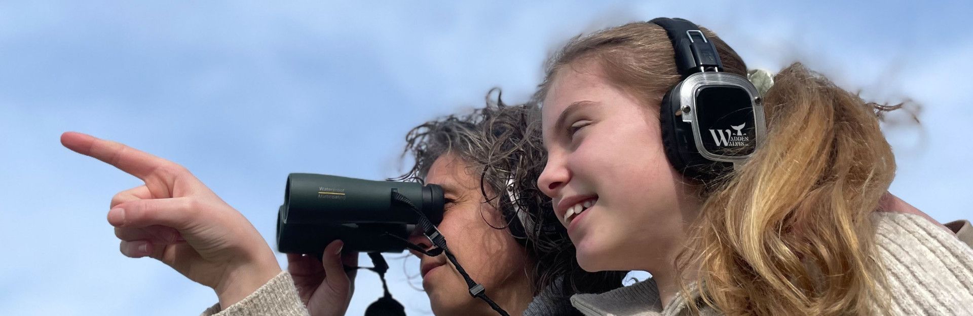 Boek en boot: expeditie waddenwalvis