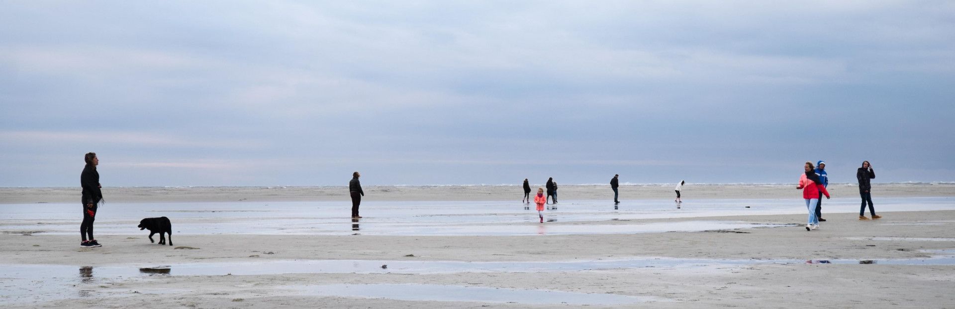 wandelen met hond op Schiermonnikoog