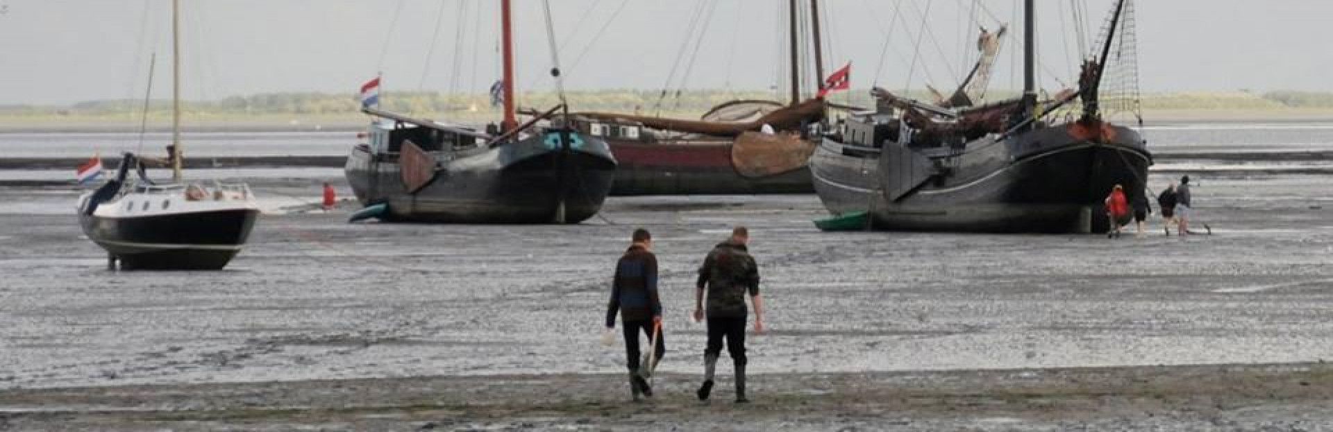 Werelderfgoed waddenzee