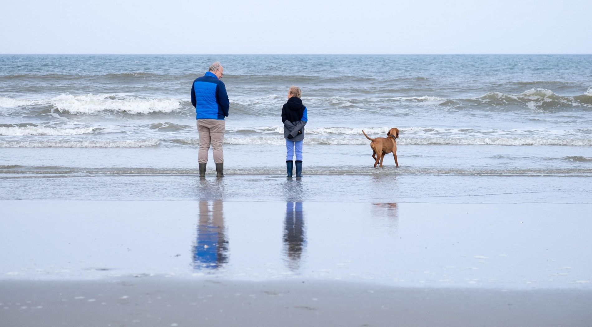 vakantie met hond op Schier