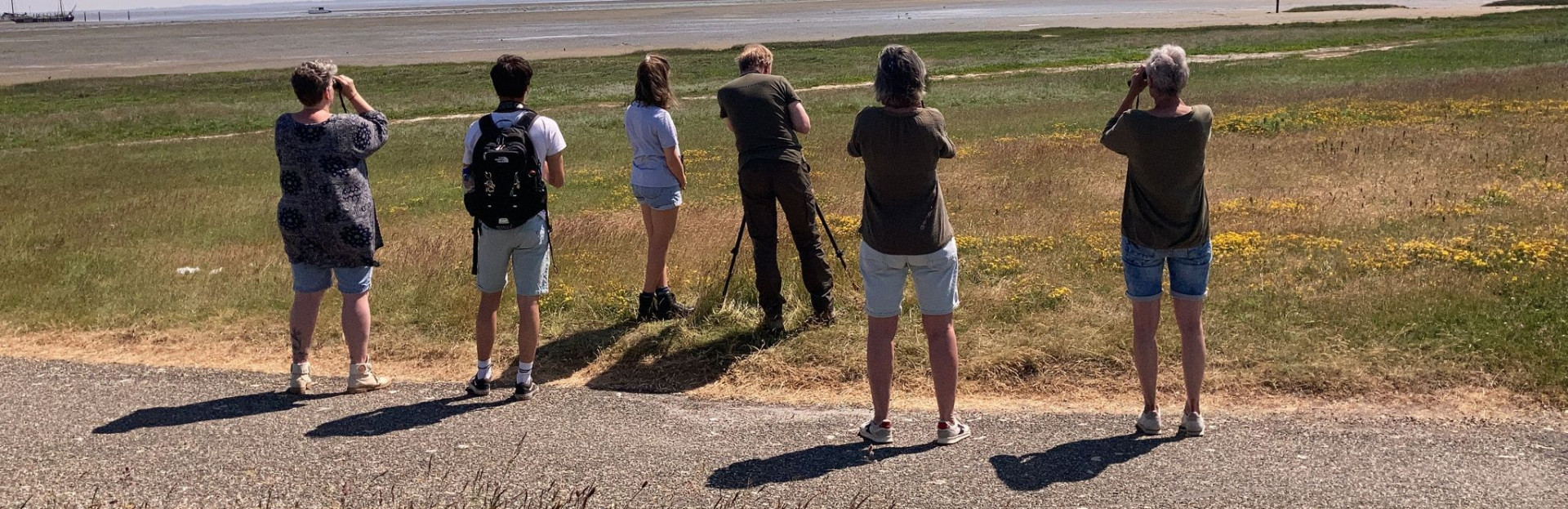Vogels spotten op Schiermonnikoog