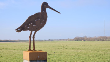 Fietsen op Schiermonnikoog tijdens de fietsmaand in mei