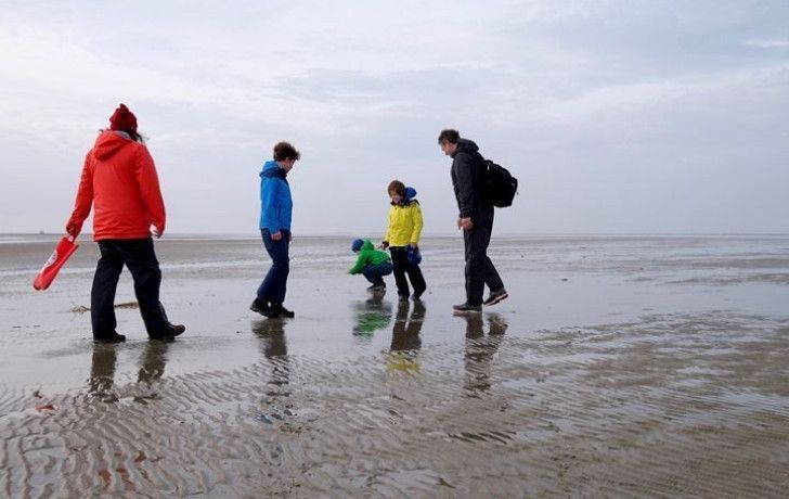 Uitwaaien en jutten op Schiermonnikoog