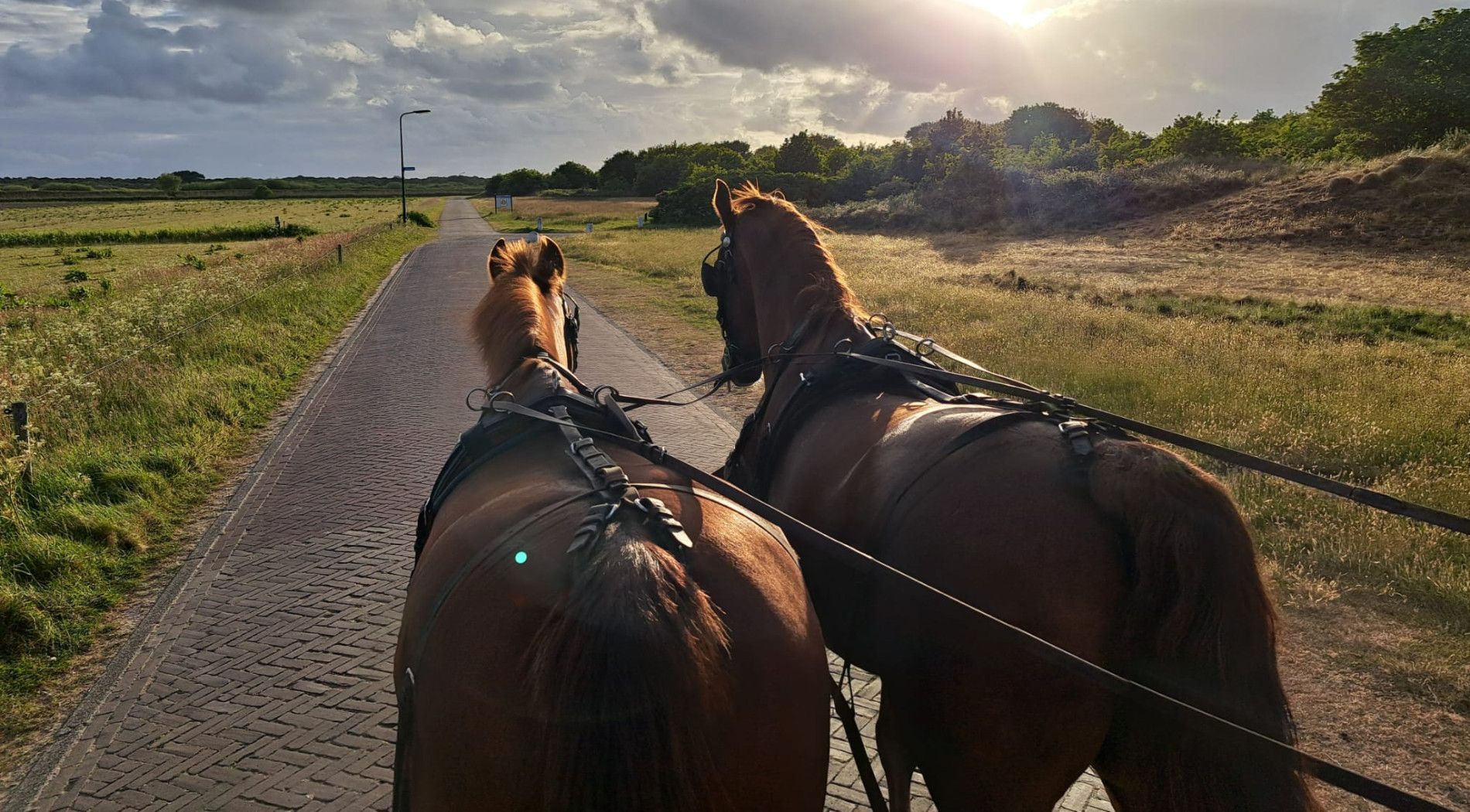 in en om het dorp met de huifkar